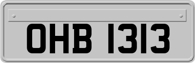 OHB1313