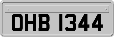 OHB1344