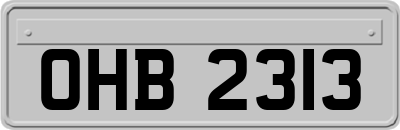 OHB2313