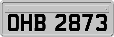 OHB2873