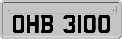 OHB3100