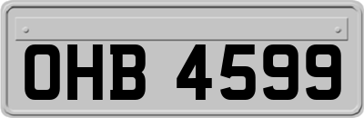 OHB4599