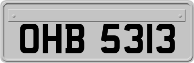 OHB5313