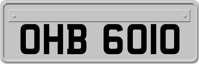 OHB6010
