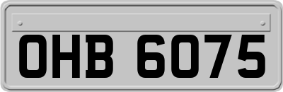 OHB6075