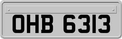 OHB6313