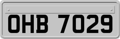 OHB7029