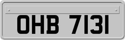 OHB7131