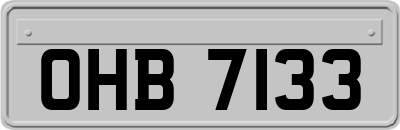 OHB7133