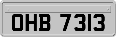 OHB7313