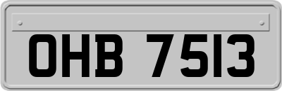 OHB7513