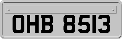 OHB8513