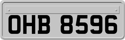 OHB8596
