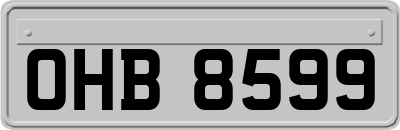 OHB8599
