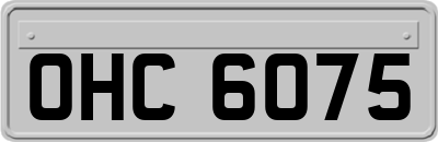 OHC6075