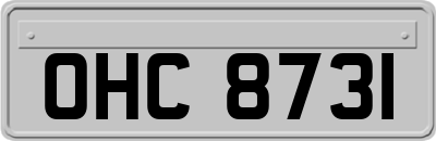 OHC8731
