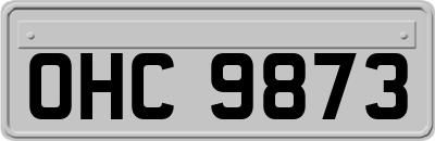 OHC9873