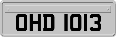 OHD1013