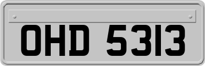OHD5313