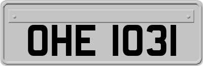 OHE1031