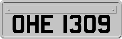 OHE1309