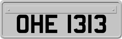 OHE1313
