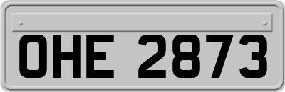 OHE2873