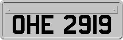 OHE2919