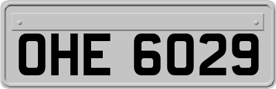 OHE6029