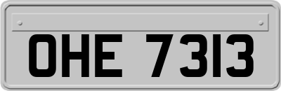 OHE7313