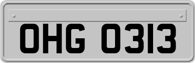 OHG0313