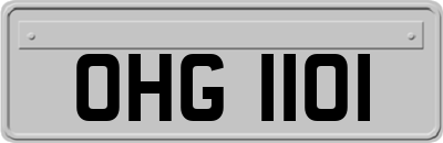 OHG1101
