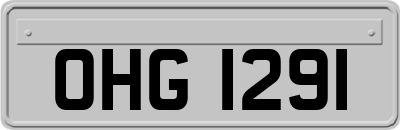 OHG1291