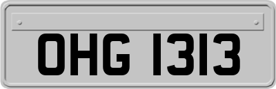 OHG1313