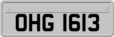 OHG1613