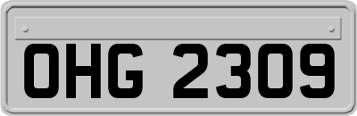 OHG2309