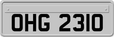 OHG2310