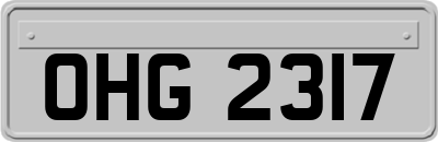 OHG2317