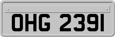 OHG2391
