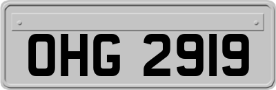 OHG2919