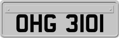 OHG3101
