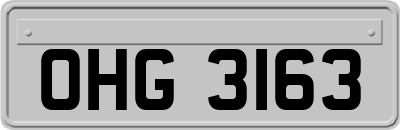 OHG3163