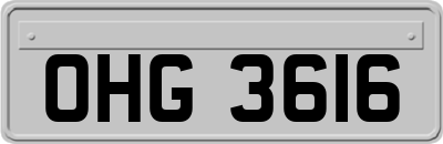 OHG3616