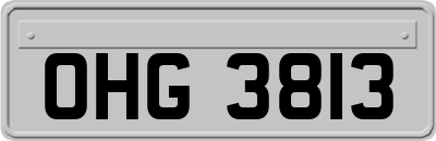 OHG3813