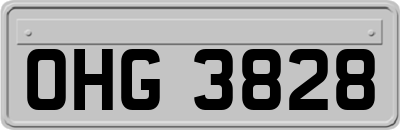 OHG3828