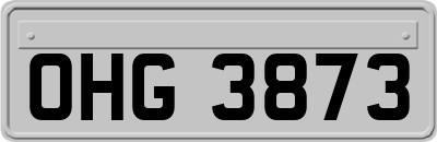 OHG3873