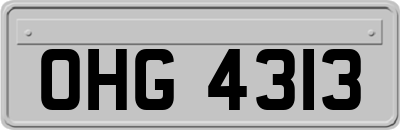 OHG4313