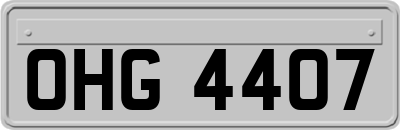 OHG4407