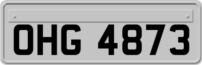 OHG4873