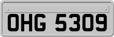 OHG5309